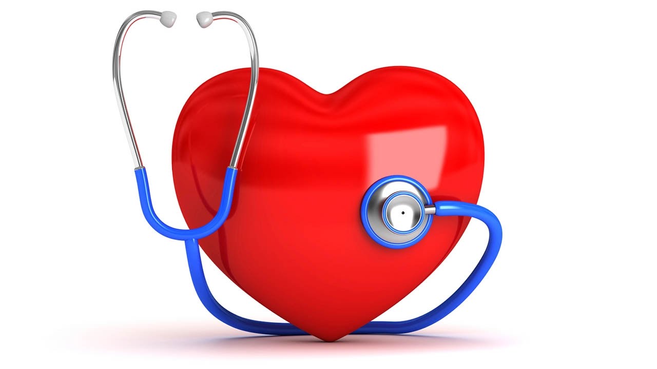 Ce ajută la susținerea inimii și a vaselor de sânge?